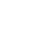 vv1